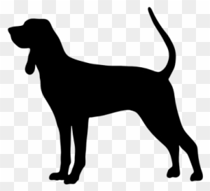 Free Coon Dog Svg Free