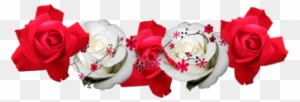 Red Rose Crown Transparent