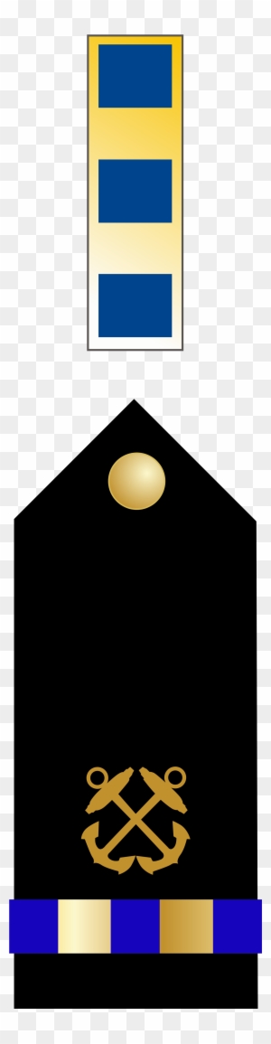 Chief Warrant Officer - Master Chief Petty Officer Insignia