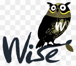 Wise Logo - Owl Logo Design .png