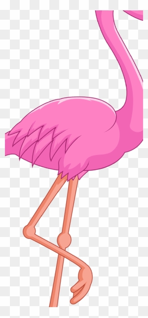 Water Bird Vertebrate Beak - Flamingo Pink Png