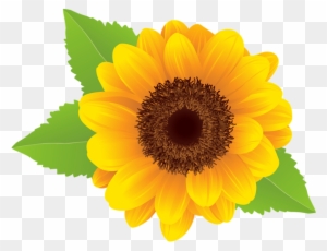 Sunflower Clipart Image - Sunflower Images Clip Art