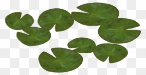 Water Lily 5 - Water Lilies Png