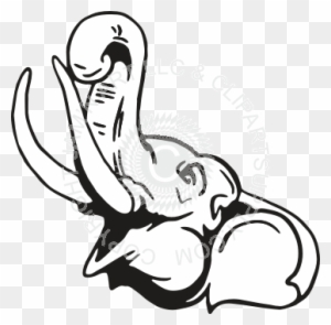 Elephant Head Drawing Side