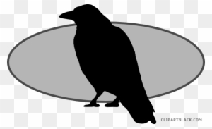 Crow Clipart Transparent Background - Raven Silhouette Png - Free ...