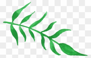 Free Download - Green Watercolor Plant Png