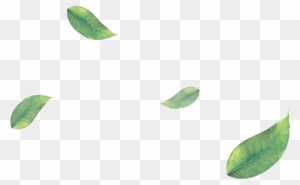 Png Green Leaves Leaf Png Image - Falling Green Leaves Png