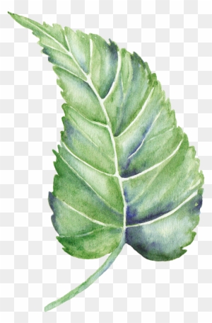 Leaf Watercolor Painting Shape - Leaf