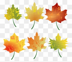 Clipart - Autumn Leaves - Autumn Leaves Clipart