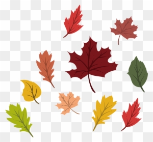 Maple Leaf Autumn Deciduous - Maple Leaf