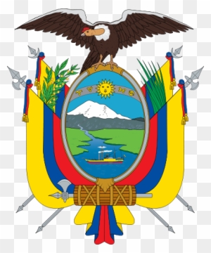 Coat - Draw The Ecuador Flag