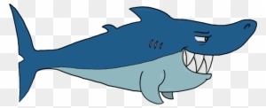 The Late Night Crew At The Cru Who Will Hang Out With - Many Bones Does A Shark Have