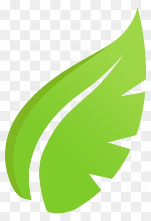 Ecology Leaf, Plant, Green, Ecology - Ecology