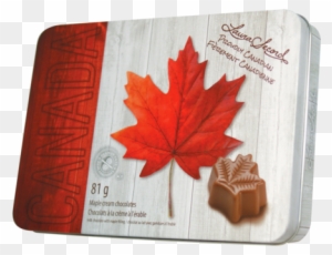 Maple Cream Chocolates - Canadian Maple Leaf Chocolates