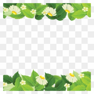 Beautiful Spring Leaves, Plant, Backdrop Png And Vector - Leaf