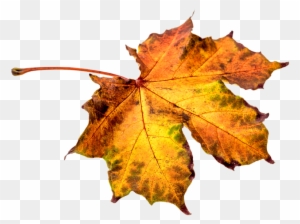 Leaf Transparent Png Sticker - Autumn Leaf Pixel