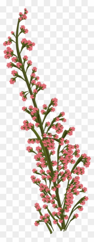 Flower Illustrations 17 Buy Clip Art Garden Roses Free Transparent Png Clipart Images Download