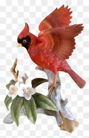 Vintage Andrea By Sadek 6231 Red Cardinal Bird Porcelain - Vintage Cardinal Illustration