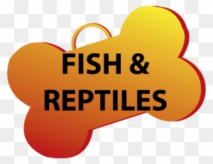 Reptile - Free Transparent PNG Clipart Images Download