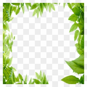 Green Leaves Frame - Nature Frame - Free Transparent PNG Clipart Images  Download