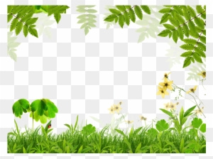 Spring Green Leaf Film Frame - Spring Background Border