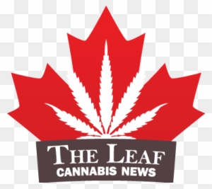 The Latest Harper Conservative To Join Canada's Cannabis - Maple Leaf Canada Day