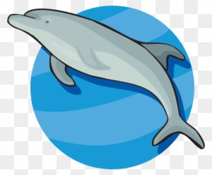 Bottlenose Dolphin Clipart Endangered - Dolphin Large Wall Clock