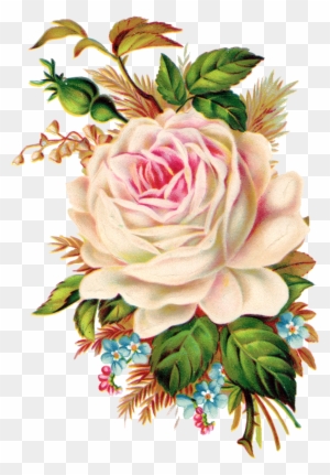 Neste Blog Você Poderá Encontrar Lindas Imagens No - Royalty Free Vintage Flower