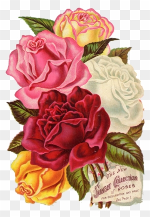 Red, Rose, Vintage, Botanical, Flower, Floral, Leaves - Printable Flowers Design Paper