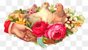 This Is A Pretty Digital Pigeon Graphic I Created From - Victorian Era