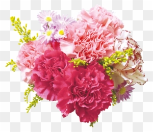 Flower Bouquet Carnation Floral Design Cut Flowers - Free Stock Flower In Png