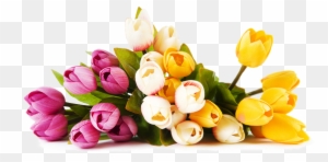 Same Day Delivery Of Fresh Flowers For Every Occasion - Flower Shop Png