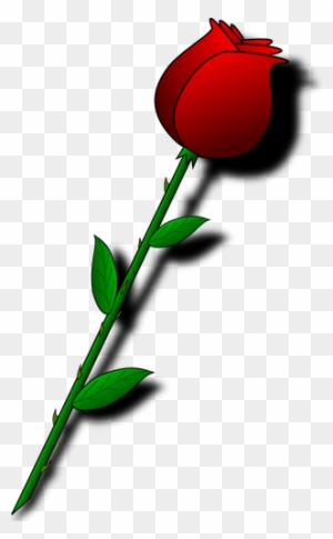 Rose With Thorns - Valentines Day Roses Clipart
