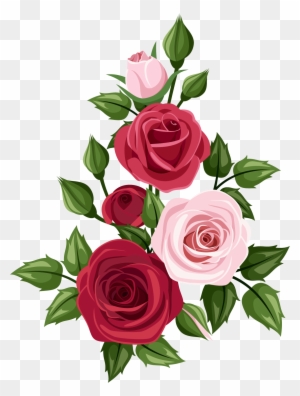Rose Art Drawing Clip Art - Rosas Rojas Y Rosadas - Free Transparent PNG Clipart Images Download