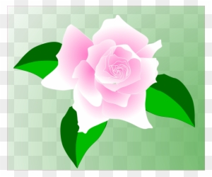 This Free Clip Arts Design Of Pink Rose - Single Pink Rose Clip Art