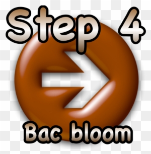 Step 4 Bac Bloom - Step 4 Clipart