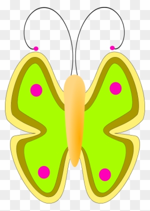 Butterfly Front View - صورة فراشة كرتونية