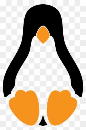 Amd Clipart Penguin - Tux Linux Modern