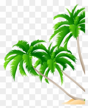 1800 Central Commerce Court - High Resolution Coconut Tree Leaf Vector