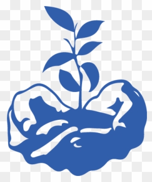 Hand Holding A Seedling - Icon For Social Justice