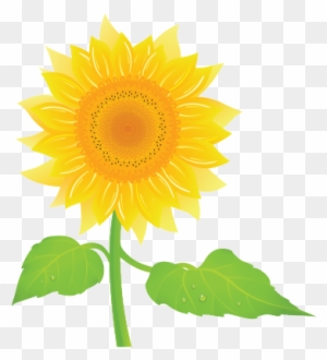 Studyladder, Online English Literacy & Mathematics - Sunflower