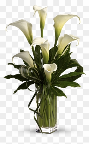 My Fair Lady By Teleflora - Calla Lily Flower Arrangement