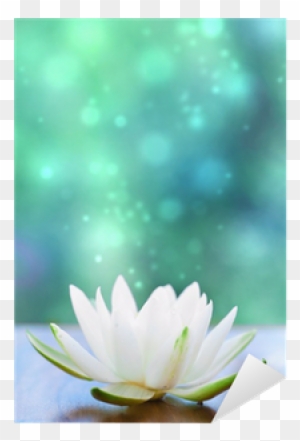 Lotus Flower Journal: (diary, Notebook, Blank Book)