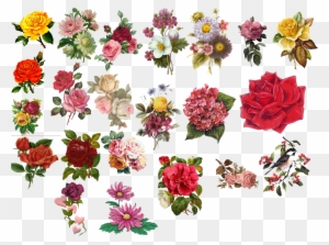 Vintage Floral Png - Vintage Flower Art Transparent