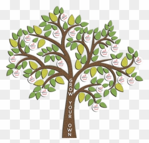 Download Free Family Tree Clipart Transparent Png Clipart Images Free Download Clipartmax