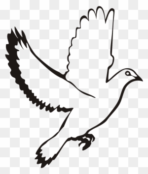 White - Flying Dove Vector Png