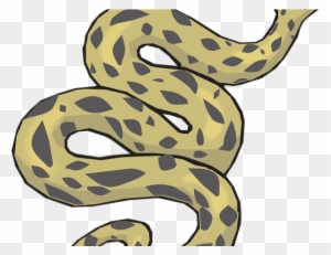 Anaconda Icon - Anaconda Python Icon - Free Transparent PNG Clipart ...