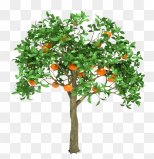 Orange Tree Trans Png By Dementiarunner On Deviantart - Orange Tree