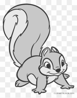 Grey Squirrel Animal Free Black White Clipart Images Animales De La Blanca Nieves Free Transparent Png Clipart Images Download
