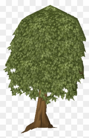 Trees Of Runescape Leave A Comment - Mango Tree